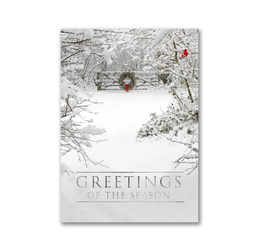 Cardinal Bird Christmas cards