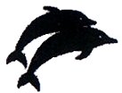 Dolphin Wedding