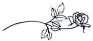 Rose Design