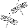 Dragon Fly Design