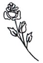 Rose Wedding Napkins Design