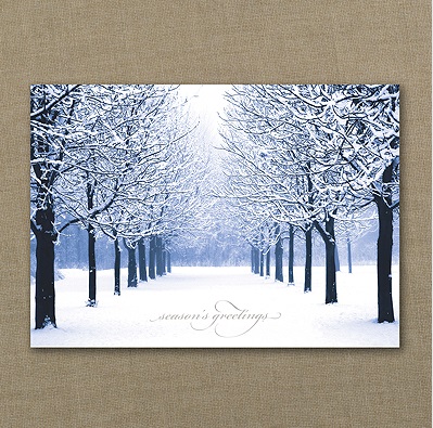 Snowy Christmas Cards